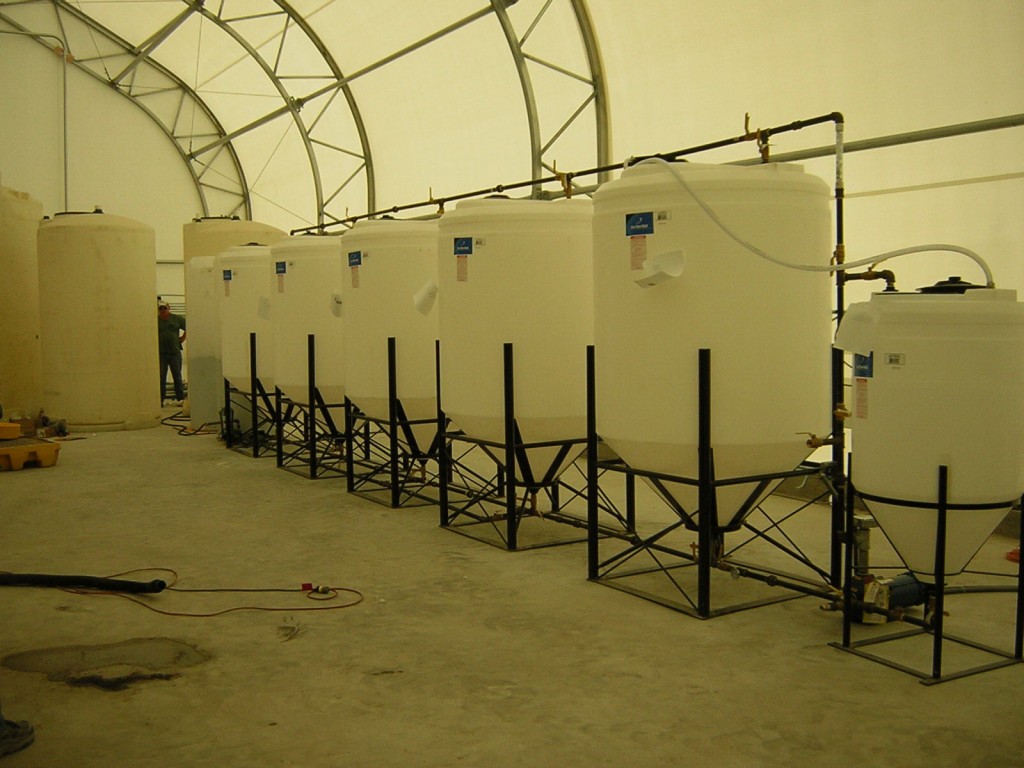 B-500 Continuous Batch Biodiesel Plant